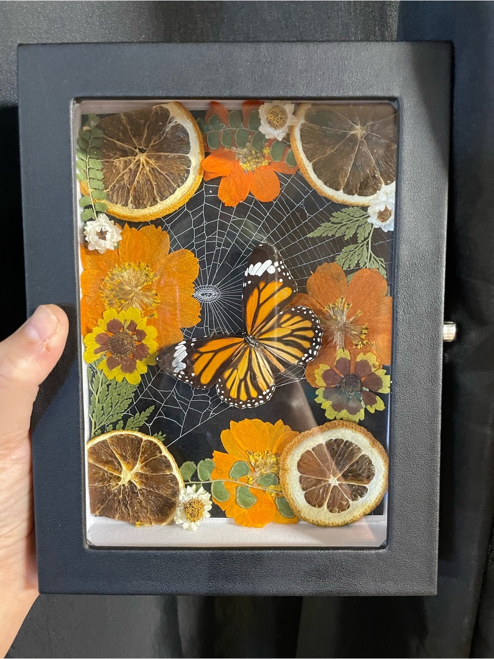 Handcrafted Orange Monarch Butterfly Shadow Box Art - Home Art